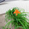 DSCN0126