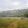 Zarandoktabor_2026_IMG_0515