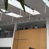 IMG_E6033